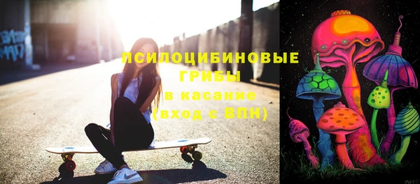 индика Абдулино