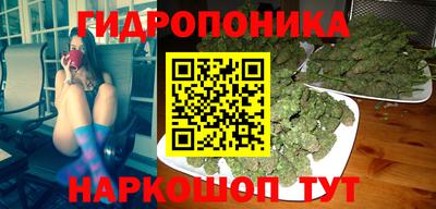 стафф Лесосибирск