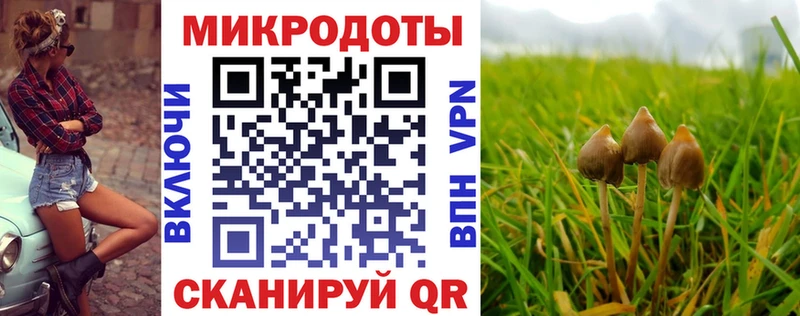 Псилоцибиновые грибы прущие грибы Знаменск
