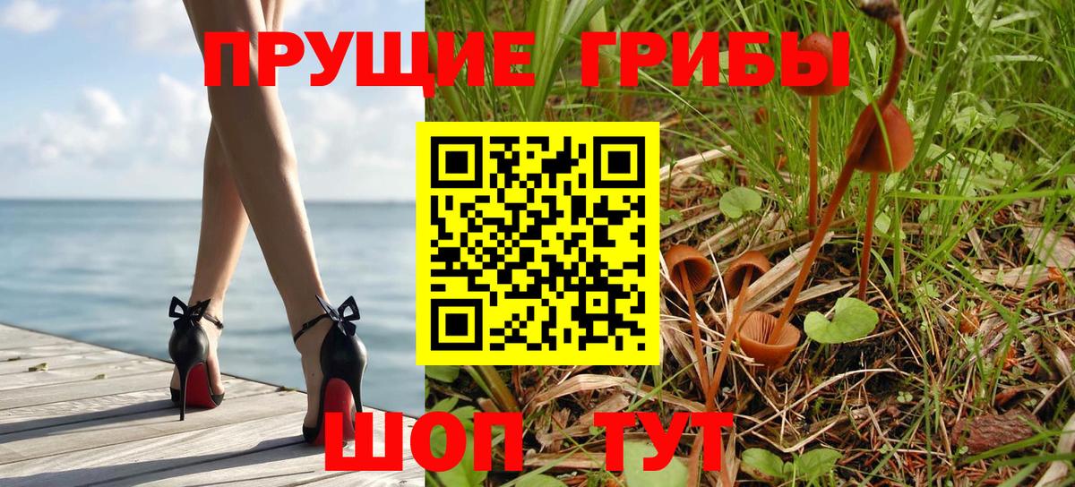 Галлюциногенные грибы Psilocybe  Галлюциногенные грибы Psilocybe  Вход с VPN  Знаменск 
