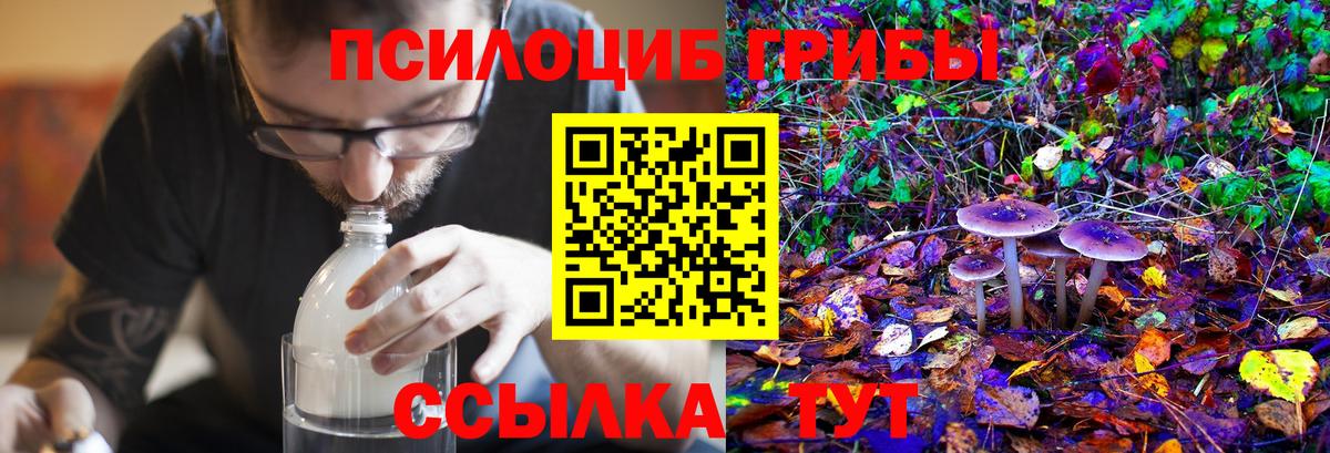 Конопля  Знаменск  ЭКСТАЗИ  ГАШИШ  Вход с VPN  Меф  Мефедрон кристаллы  Cocaine  ГАШ  Лсд 25 
