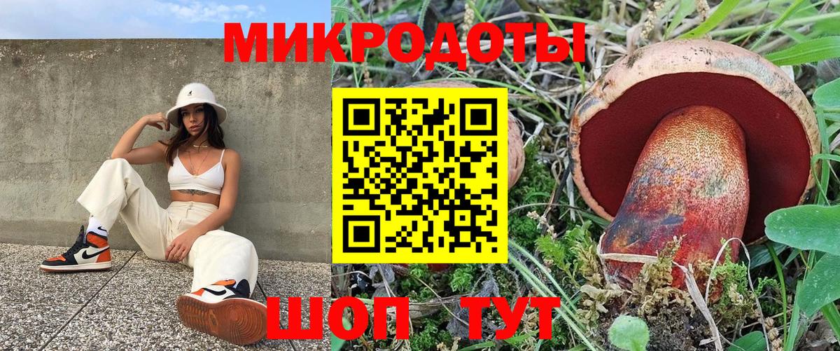 Галлюциногенные грибы MAGIC MUSHROOMS Знаменск