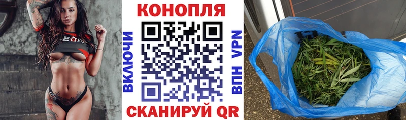 Шишки марихуана конопля блэк спрут Знаменск